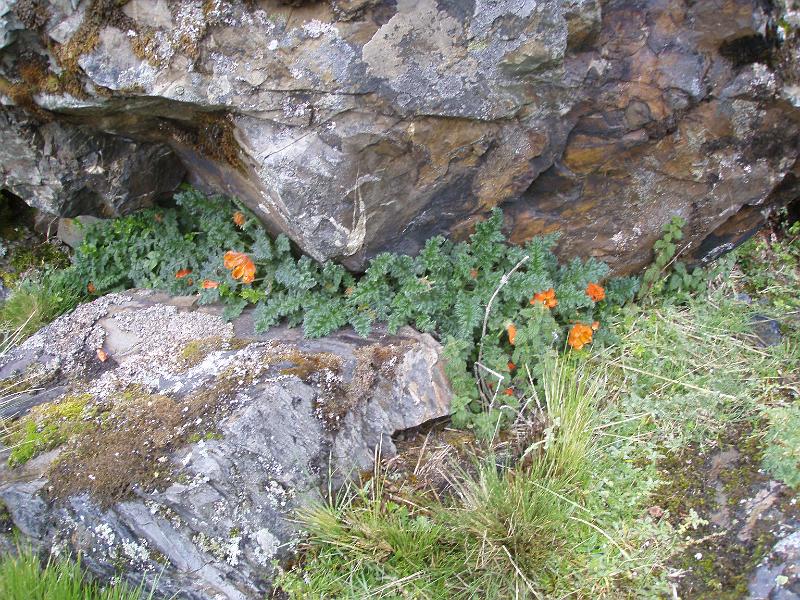 Illampu Trek (27).JPG